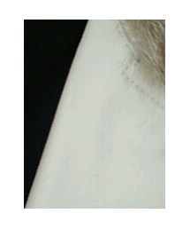 NATURAL BEAUTY | トレンチコート