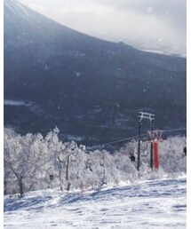 BATALEON | その他