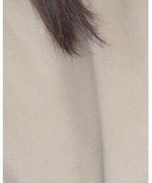 Champion | スウェット