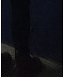 Dr. Martens | ブーツ