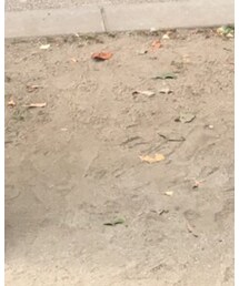 ORiental TRaffic | ブーティ