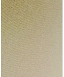 Champion | ナイロンジャケット