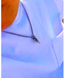 SAAD | ネックレス