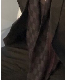 LOUIS VUITTON | マフラー