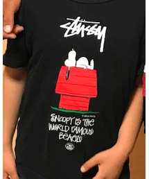 STUSSY | Tシャツ/カットソー