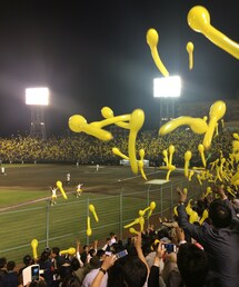 野球観戦して来ました🎵(その他)