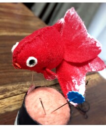 おとぼけ金魚(その他)