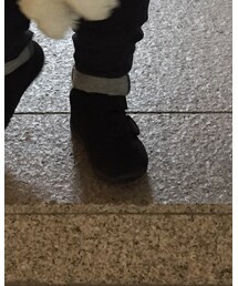 ASICS | スニーカー