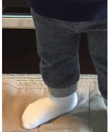 Familiar  | ソックス/靴下