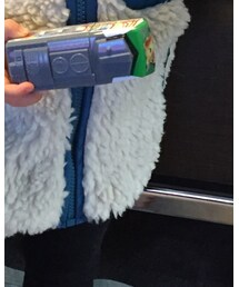 patagonia | ダウンベスト