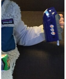 PETIT BATEAU | Tシャツ/カットソー