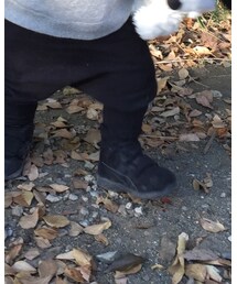 ASICS | スニーカー