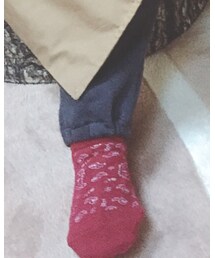 Birthday | ソックス/靴下