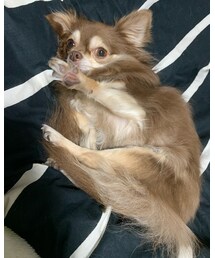 リズちゃん…写真撮らないで‼️って言ってます🙅‍♂️ | 福袋/福箱