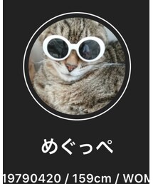 めぐたん🥺※要注意※ | フィギュア