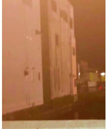 指定なし | パンツ