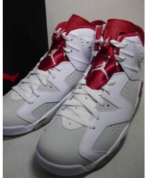 AIR JORDAN | エアジョーダン6 オルタネイト(スニーカー)