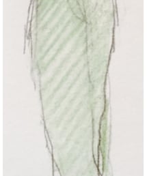 179/WG NICOLE CLUB | その他パンツ