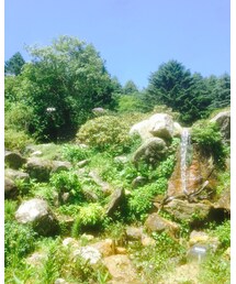 六甲山 | その他