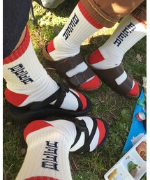 コレクターズ | ソックス/靴下