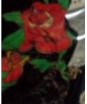 Ed Hardy(エドハーディー)の「オールインワン・サロペット(オールインワン・サロペット)」