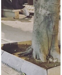 ZARA | デニムパンツ