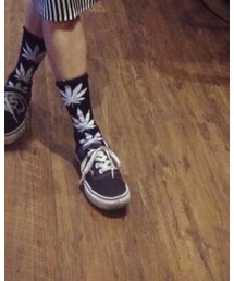 VANS | スニーカー