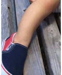 VANS | スニーカー