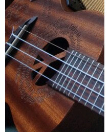 luna guitars | その他