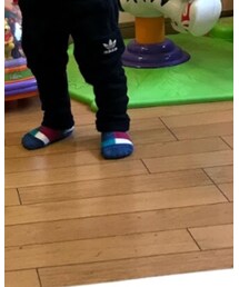 Birthday | ソックス/靴下