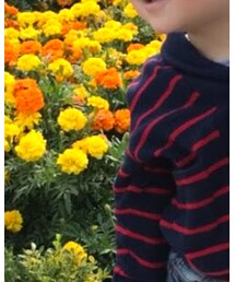 POLO | ジャケット/アウター