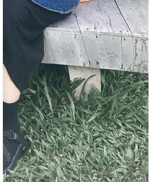 Chaco | サンダル