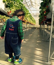 MIKI HOUSE | シャツ/ブラウス