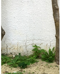 GU | デニムパンツ