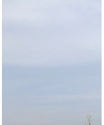 Guess | デニムパンツ