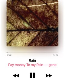 pay money to my pain | (CD)