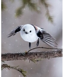 最近ハマっているシマエナガさん☆ | その他