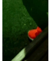 NIKE | その他シューズ