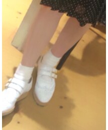 靴下屋 | ソックス/靴下