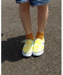 靴下屋 | ソックス/靴下