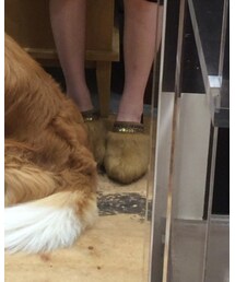 Bridget Birkin | サンダル