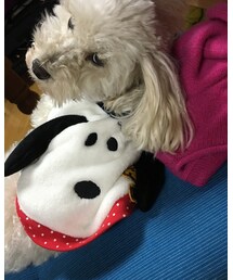 とらじろう | Tシャツ/カットソー