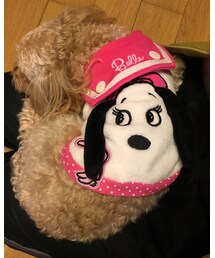 ぷー子 | Tシャツ/カットソー