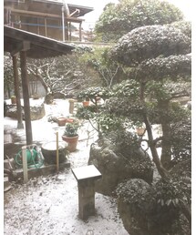 雪 | その他
