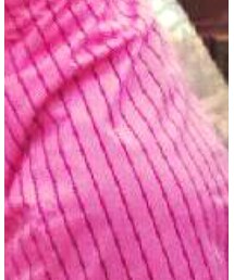 阪神タイガース | Tシャツ/カットソー