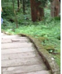 GREASE INK | Tシャツ/カットソー