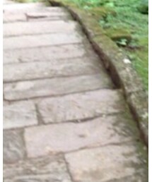 COOTIE PRODUCTIONS | デニムパンツ