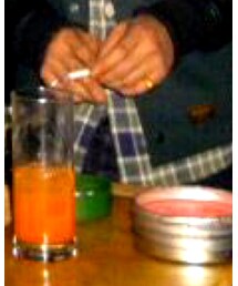 COOTIE PRODUCTIONS | シャツ/ブラウス