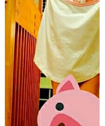 STUSSY | Tシャツ/カットソー