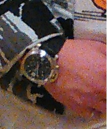 PANERAI | アナログ腕時計